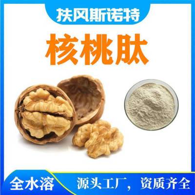 核桃肽 斯诺特工厂发货 惊精细粉末 可定制 产品种类多