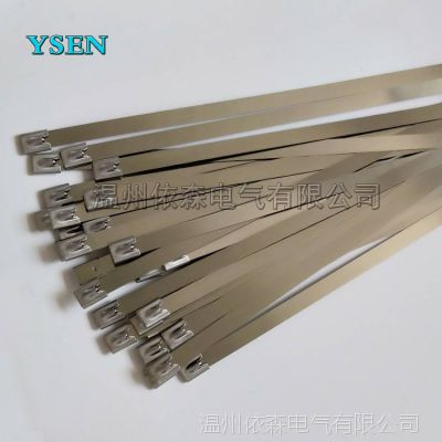 YSNEɭ쳧 304 Ӧý̴