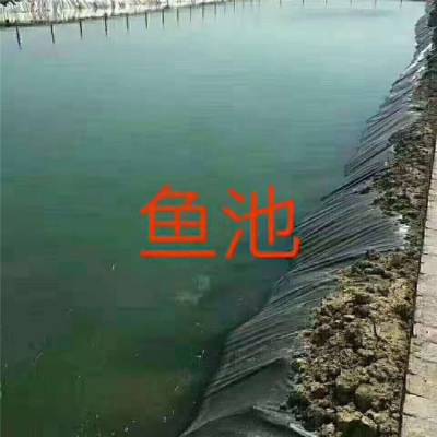 0.7mmHDPE防渗膜 许昌 黑膜氧化塘