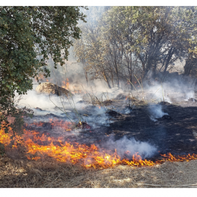 应急指挥辅助决策灭火 森林安全综合管理平台 立体预防森林火灾
