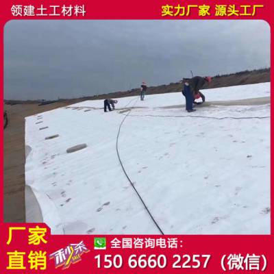 领建 复合土工膜600g排水尾矿库0.2~3mm可定做