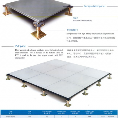 2024年***防静电架空地板，紫臣牌防静硫酸钙电地板，南京防静电地板厂家，600*600*35mm，硫酸钙地板