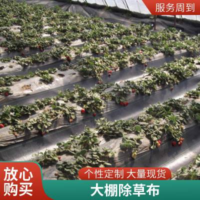 园艺苗圃黑色防草布 农用打孔防草地布 耐老化除草布