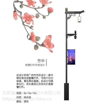 照明定制灯杆 定制智慧 充电桩路灯 物联网 LED 太阳能智慧灯杆