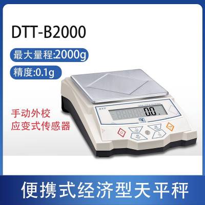 美国华志DTT-B基础型0.1g标准天平DTT-B1000十分位外校经济电子秤