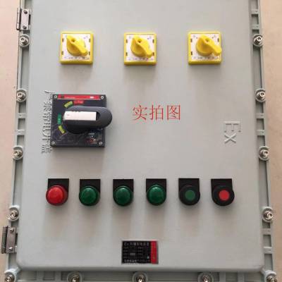 新黎明防爆配电箱电伴热带防爆温度控制箱单回路防爆温控箱 220V 定制