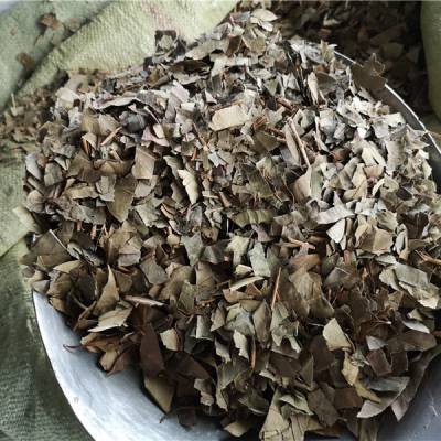 中药材平地木是什么平地木哪里购买平地木的功效与作用