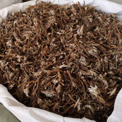 毛姑朵花,老婆子花,老公花,胡王使者,野丈人