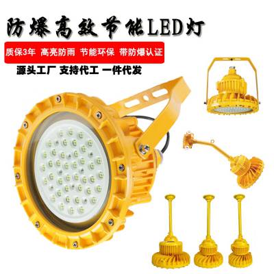 BZD130新黎明LED免维护防爆灯40W50W船厂防水投光灯100W