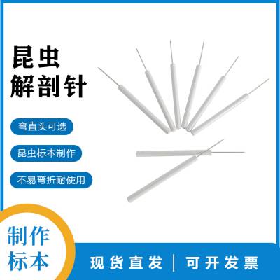 昆虫标本固定制作工具 昆虫固定针 针插板常用配套工具 标本制作