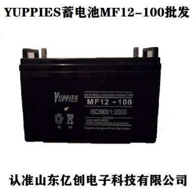 YUPPIES蓄电池NP12-100 NP100-12优佩斯蓄电池12V100AH铅酸阀控式