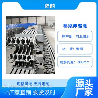 成品桥梁用伸缩缝 陆韵模数式桥梁伸缩缝可来图定制