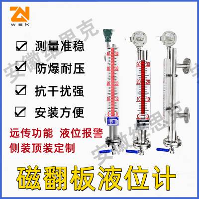 ±3mm高精度浮球液位计UQI-3S-9S8FSF压力PN260防爆T6