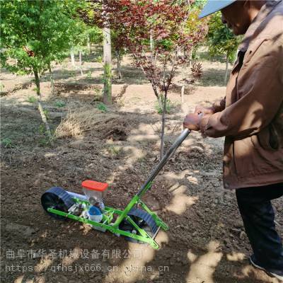 自走式蔬菜播种机 播香菜菠菜油菜育苗机械 大葱播种机