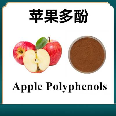 苹果多酚 可定制多规格 斯诺特生物 饮料食品原料