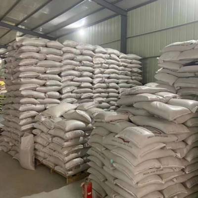 矮杆百日草混色混色花种子马蹄金草籽柏木种子小叶女贞