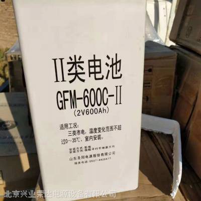 ʥGFM-600C ʥ2V600AH ֱר ʥ