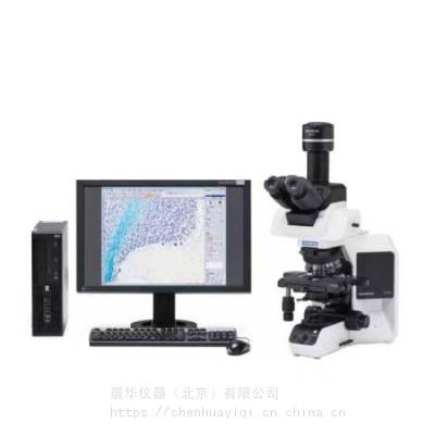 BX53研究级正置显微镜