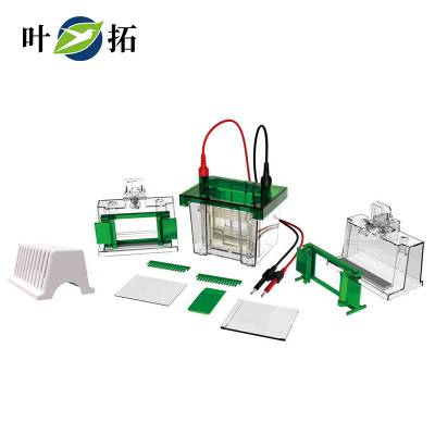 叶拓 YT-mini2 高透明度实验室电泳仪水平电泳槽