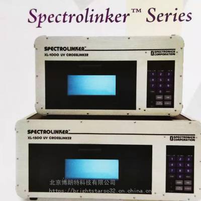 ⽻XL-1500
