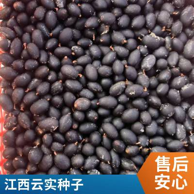 ��Ӧ��ʵ���� �����ṩ���缼��