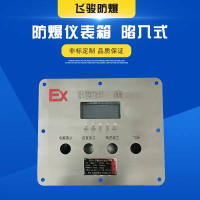 不锈钢防爆仪表箱 定制非标防爆仪表箱 防爆表箱 中石油防爆箱