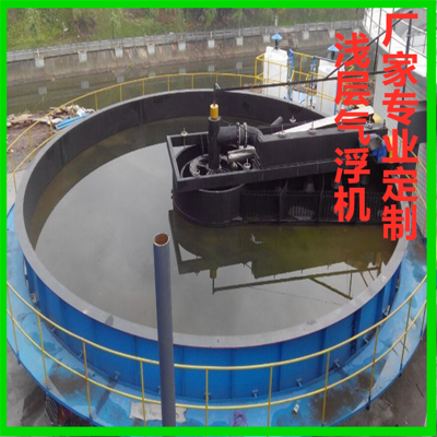 专业制造高效气浮机 浅层气浮机质优价廉