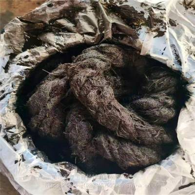 湛江本地生产沥青麻绳 沥青麻筋每吨价格***厂家