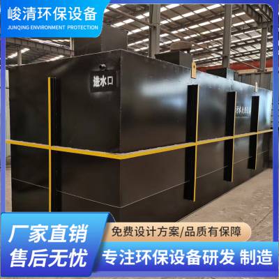 30t/d ũˮ豸 һ廯ˮװ