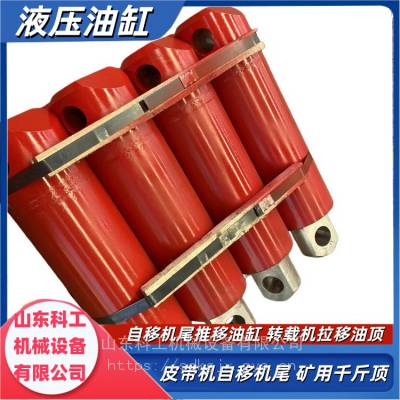 116SEGA0101ض۲֧תػҺѹ͸ DG-200/1100ǧﶥ