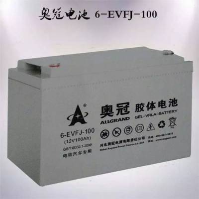 奥冠蓄电池6-GFMJ-100 12V100AH参数/价格