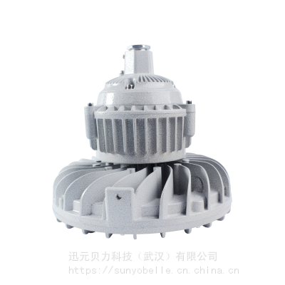LED202-50W