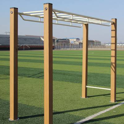 平梯云梯健身路径公园小区塑木健身器材晟茂体育支持定做