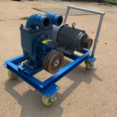 夏季防汛抽粪泵 家用小型3寸吸粪泵 移动小推车式排污泵