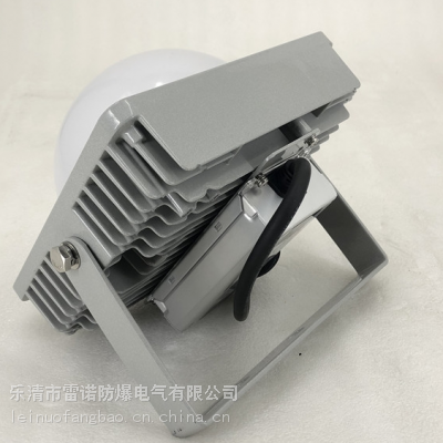 NFC9192- 100W IP66 LEDƽ̨ NFC9192-100W
