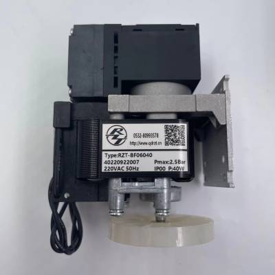 CEMSȡ RZT-BF06040 ձ  N86KTE
