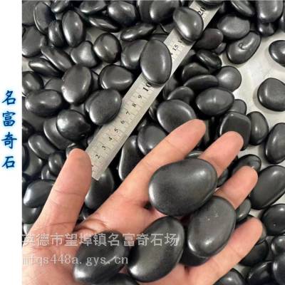 广东增城厂家供应铺面公园铺路鹅卵石 增城盆栽五彩石雨花石装饰