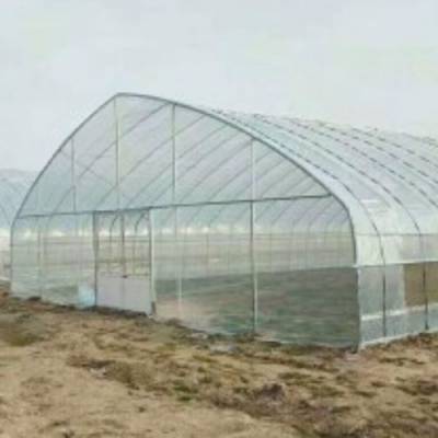 蔬菜温室质量 新型温室质保 汉威温室 养殖温室质量