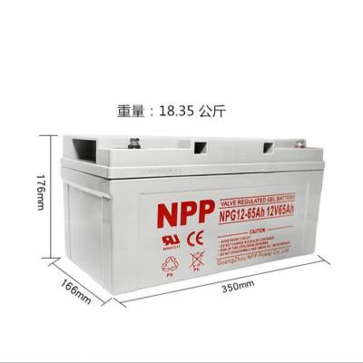 NPPNPG12-6***H 12V6***H   ֱԴ ͨѶ