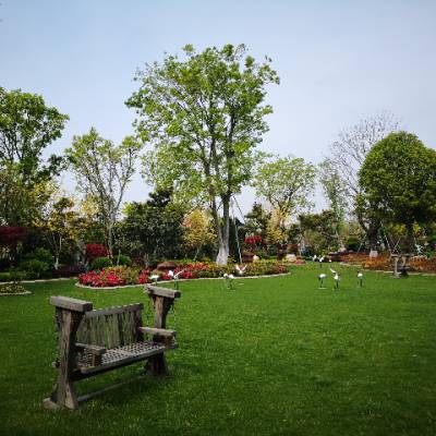 �ζ����ܱ�Ĺ԰�������� ���ɰ�Ϣ԰�Ϻ���Ӧ