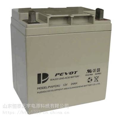 PEVOT蓄电池PV6M24U 12V24AH 直流屏UPS专用不间断电源