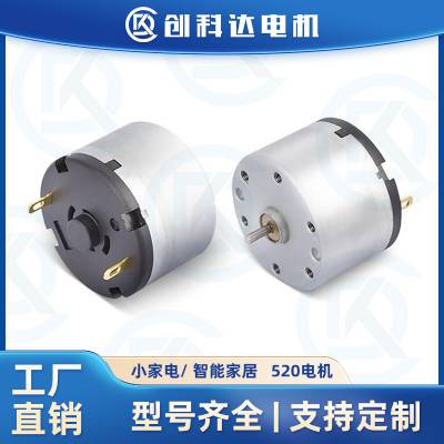R520ɱ ϵͳ綯 ֱѹ6v