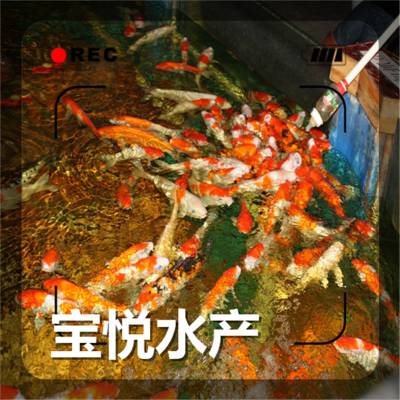 ۹ͽѯ緱ֳ