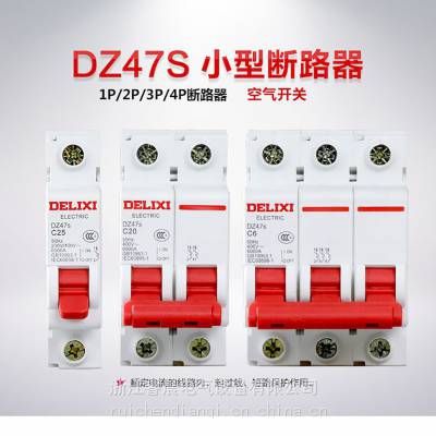 DZ47s 2P C 10A
