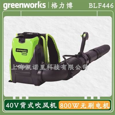 BLF446ʽ﮵ˢ綯40VѩҶ