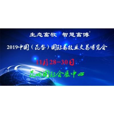 2019йҵײ