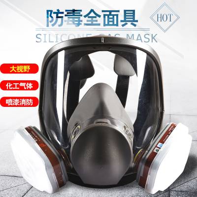 多用途防甲醛防尘喷漆化工装修劳保防毒面具全面罩6800