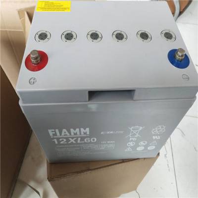 FIAMM12SPX8012V80AHάǦﻯֳúֱӦ