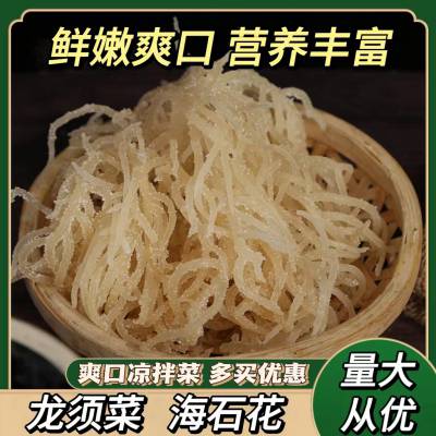 龙须菜 海石花 石花菜 海藻海发菜 凉拌菜 清脆爽口 大量批发