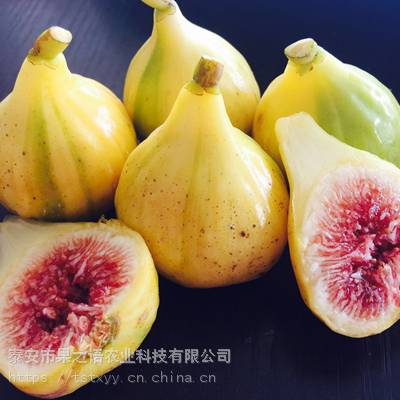 ޻ء޻硢޻